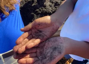 childs hands with dirt gardening